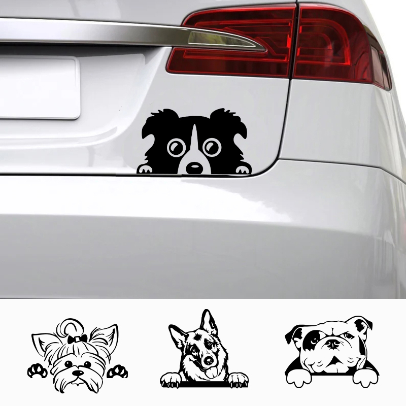 Interior Design Magazine - Aksesori Mobil Stiker Lucu Anjing dengan