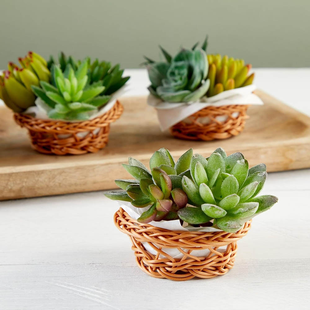 Set Keranjang Anyaman Mini - 3 - Woven Basket Set ulasan dan harga